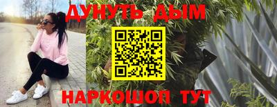 шишки Будённовск