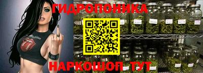 шишки Будённовск