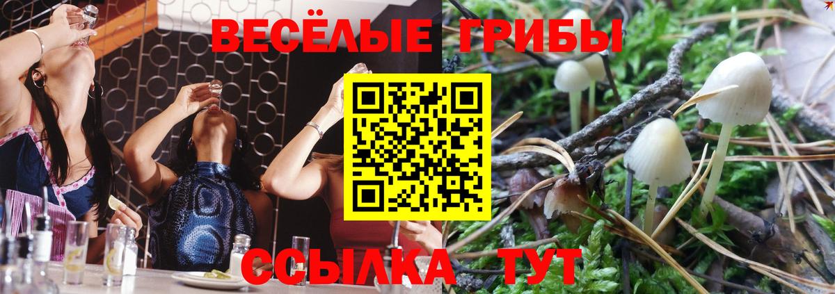 купить  цена  Галлюциногенные грибы MAGIC MUSHROOMS  Вход с VPN  Кувандык  Галлюциногенные грибы MAGIC MUSHROOMS 